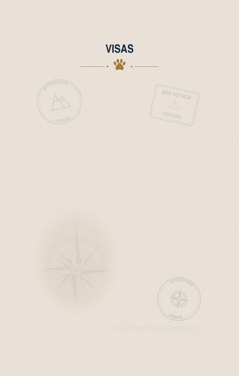 A visa page ready for stamps, drawings and memories
